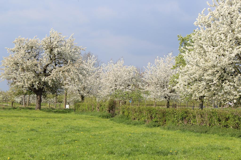 B&B De Vroling Wellen Bagian luar foto